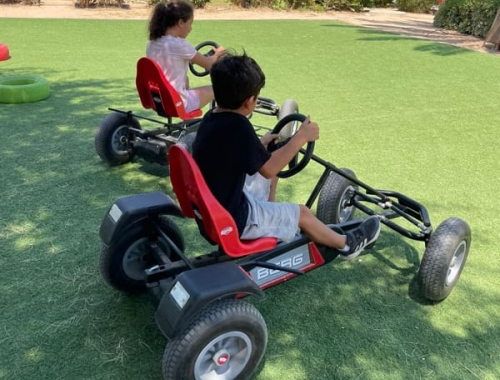 פעילויות ODT | קימיז