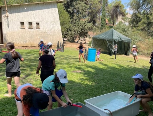 פעילויות ODT | קימיז