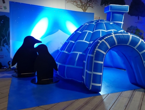 מתחמים מאירים בחושך | קימיז