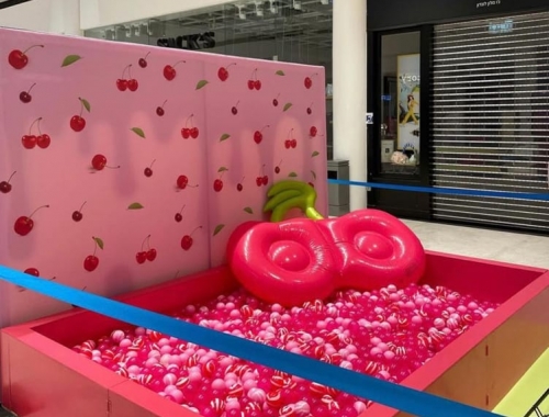 Homepage Gallery | קימיז