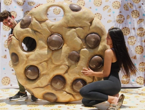 Homepage Gallery | קימיז