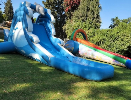 WhatsApp Image 2022 10 26 at 10 29 06  4 