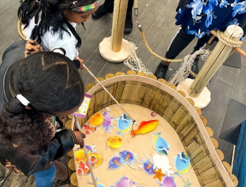 אירועי קיץ | קימיז