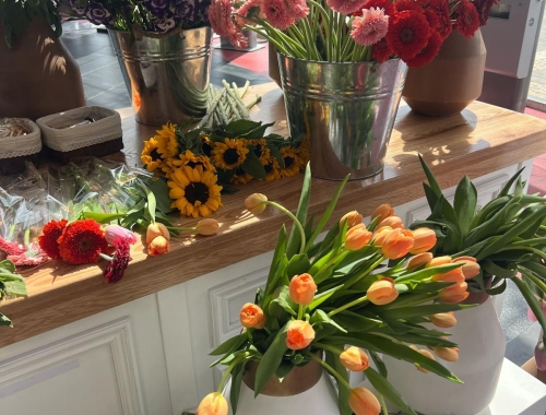 טו בשבט | קימיז