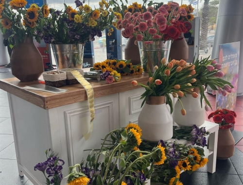 טו בשבט | קימיז