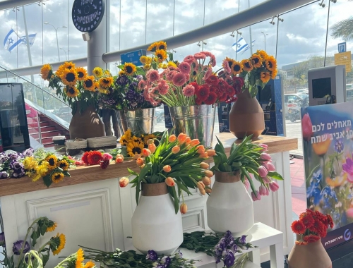  טו בשבט | קימיז