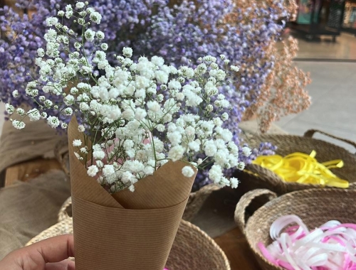  טו בשבט | קימיז