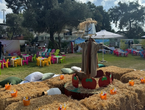 טו בשבט | קימיז