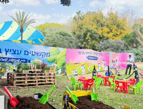  טו בשבט | קימיז