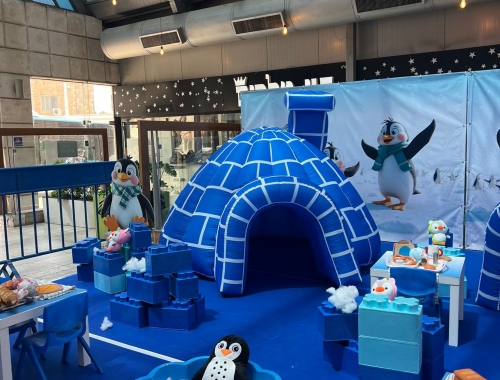 WINTER WONDERLAND | קימיז