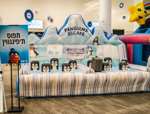 עמדות קליעה למטרה מושלגות | קימיז