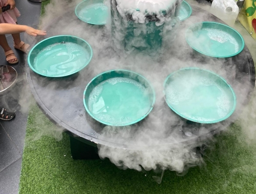 משחקיות חורף מקוריות | קימיז