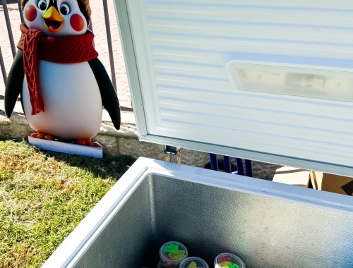 עמדות יצירה מעוצבות בנושא חורף | קימיז