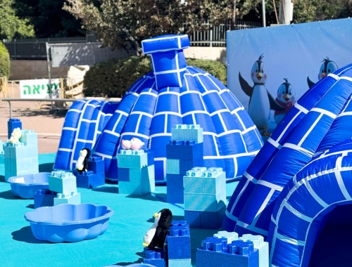 שוברים את הקרח | קימיז