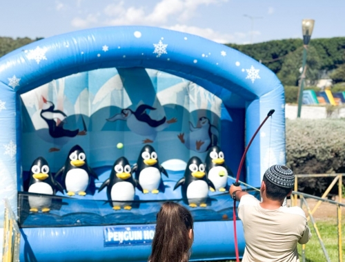 עמדות קליעה למטרה מושלגות | קימיז