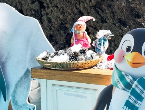 פסטיבל אנשי שלג | קימיז