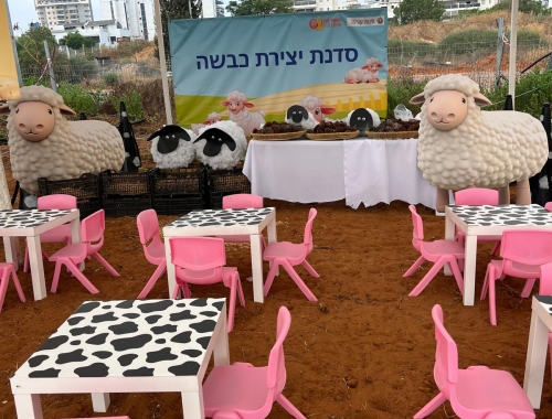 עמדות יצירה מעוצבות | קימיז