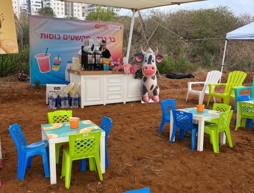 עמדות יצירה מעוצבות | קימיז